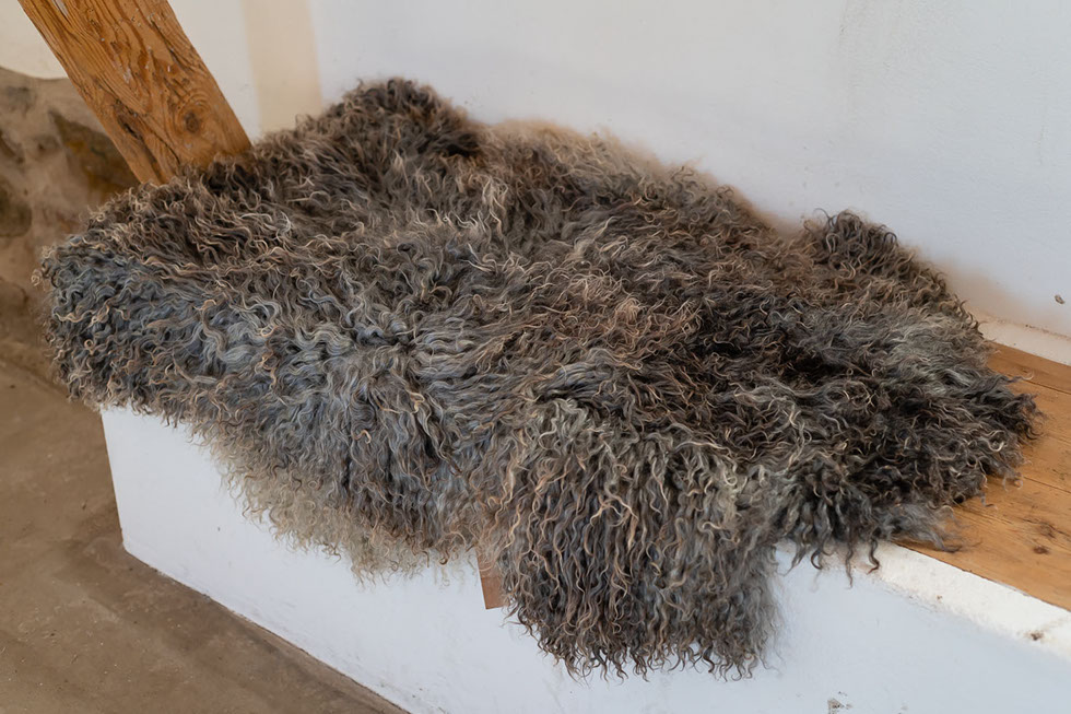 Fotograf Torbjörn Helgesson